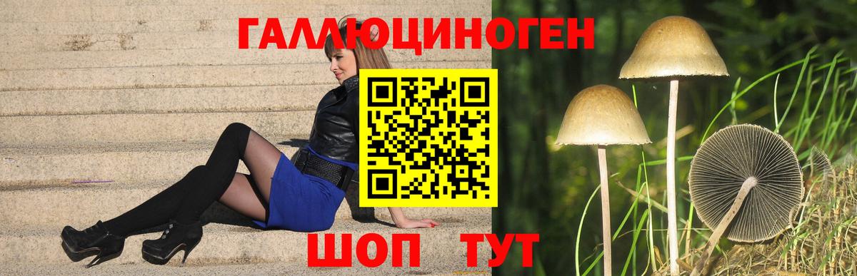 Галлюциногенные грибы Magic Shrooms  Вход с VPN  Вичуга  Галлюциногенные грибы GOLDEN TEACHER 